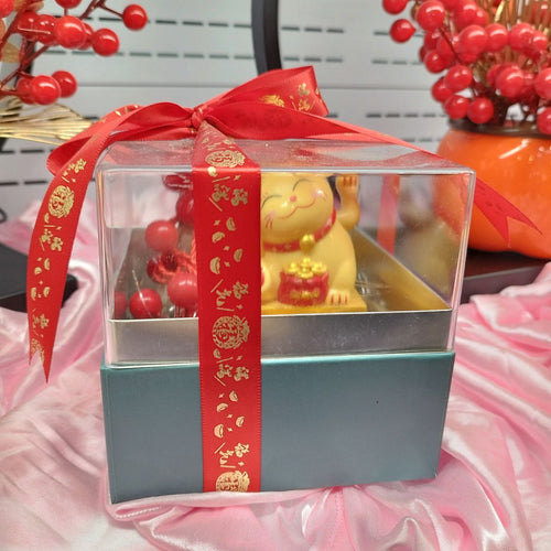 TI CNY Lucky Cat In a Box $28