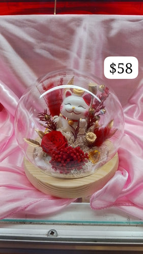 TI CNY  Lucky Cat with lights (small) $58