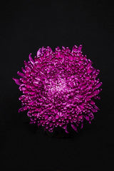 Chrysanthemum Net Purple