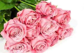 Rose Hand Bouquet 2 stalks