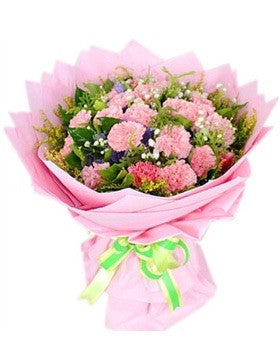 Carnation Bouquet 46 stalks