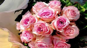 Rose Hand Bouquet 9 stalks