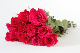 Rose Hand Bouquet 17 stalks
