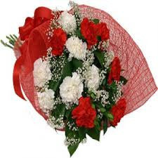 carnation Bouquet 14 stalks