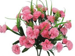 carnation bouquet 25 stalks