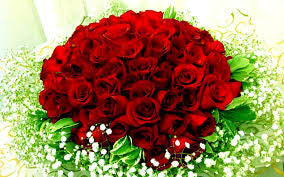 Rose hand Bouquet 20 stalks