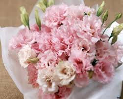 carnation bouquet 20 stalks