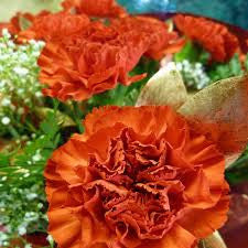 carnation bouquet 9 stalks