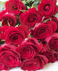 Rose Hamd Bouquet 18 stalks