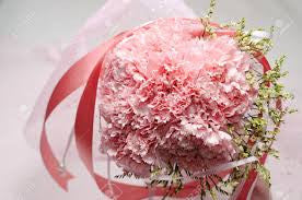 carnation  Bouquet 10 stalks