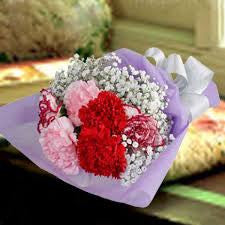 carnation bouquet 7 stalks