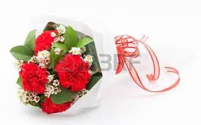 carnation bouquet 6 stalks