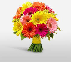 Gerbera Bouquet