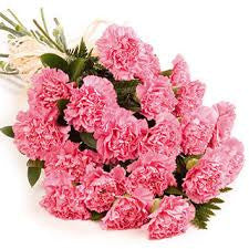 Pink Carnations