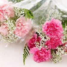 carnation bouquet $30