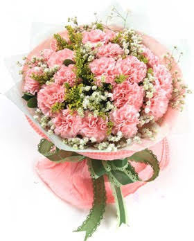 Carnation Bouquet 56 Stalks